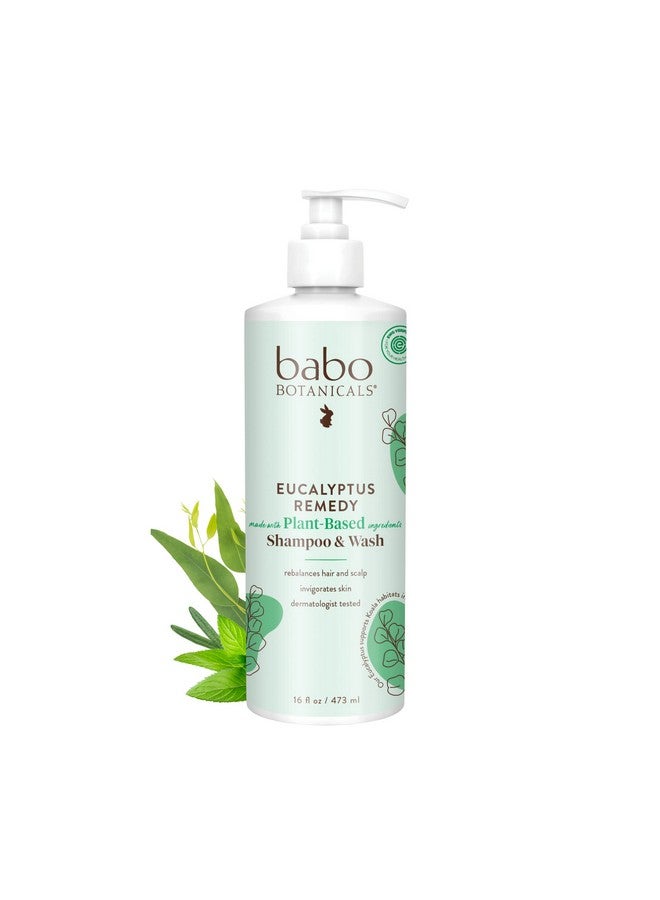 Babo Botanicals Eucalyptus Remedy Shampoo & Wash - Invigorating Eucalyptus & Rosemary Essential Oils -For all Ages - EWG Verified - Vegan - Cruelty Free - Image 1