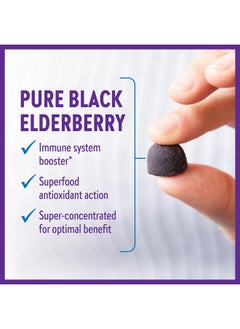 New Chapter Elderberry Gummies for Adults & Kids (2+), USDA Organic 64x Concentrated Elderberry for Immune Support, Great-Tasting Whole-Food Gummies, Vegan & Non-GMO - 60 ct  - Image 3
