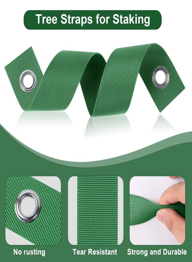 Jevrench 12 PCS Tree Straps for Staking, Tree Support Straps for Guying Staking Newly Planted Sapling Straight and Hurricane Protection, Heavy Duty Tree Stake Straps for Straightening - Image 4