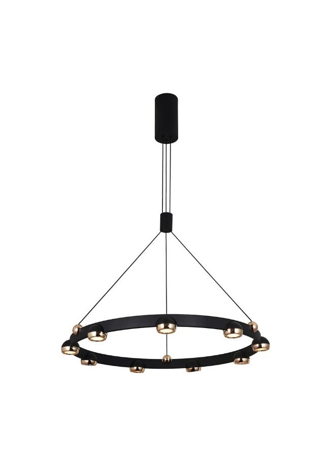 DANUBE HOME Serena Chandelier Iron+Alu D68 Xh15X W68 Led Black - Image 4