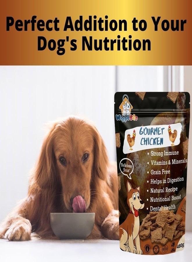 WiggleBoo Gourmet Chicken Treat for Dogs | Mega Pack | Protein Rich | Crunchy Healthy Snacks | (480 Grm), All Life Stages, Chips - Image 4