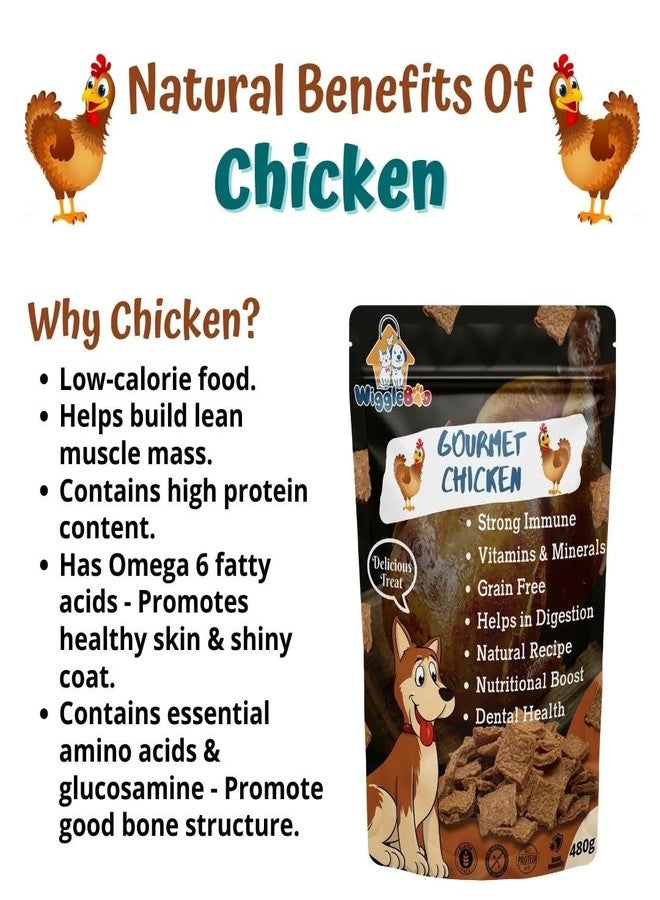 WiggleBoo Gourmet Chicken Treat for Dogs | Mega Pack | Protein Rich | Crunchy Healthy Snacks | (480 Grm), All Life Stages, Chips - Image 3