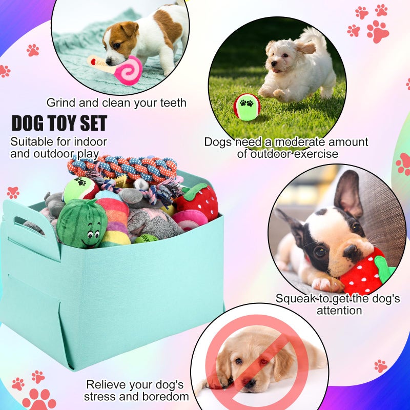 Abbylike 50 Pcs Puppy Supplies Starter Kit for Small Dogs Puppy Essentials Includes Leash, Bowls, Teeth Brushes, Water Bottle, and More Accessories for Dogs Pet Day Welcome Gift(Colorful) - Image 3