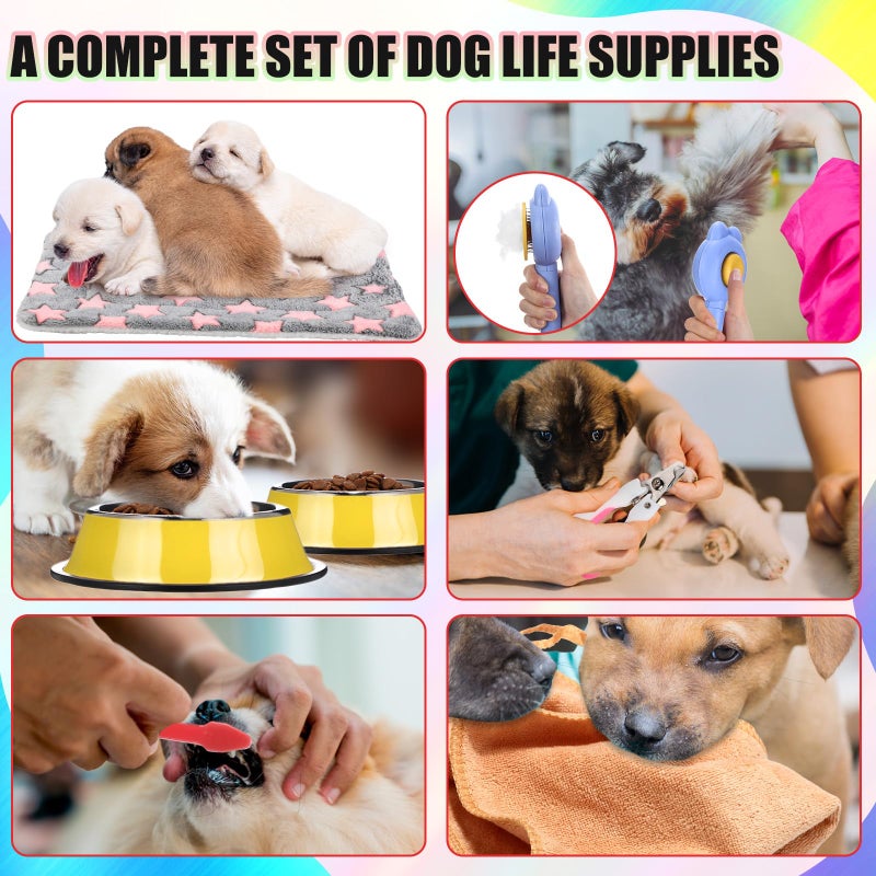 Abbylike 50 Pcs Puppy Supplies Starter Kit for Small Dogs Puppy Essentials Includes Leash, Bowls, Teeth Brushes, Water Bottle, and More Accessories for Dogs Pet Day Welcome Gift(Colorful) - Image 5