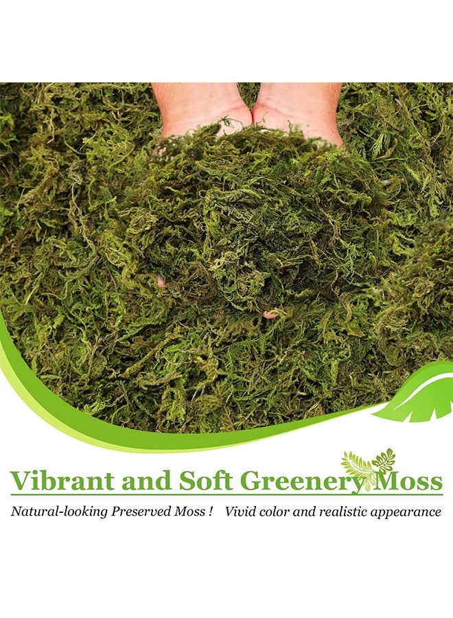 RESONIX Artificial Moss 100g with 2 Decorative Plant Stems Fade-Resistant Fake Green Moss for Crafts DIY Decor Potted Plants Fairy Gardens Centerpieces Decorative Walls Realistic Texture for Home and Outdoor Use - Image 2