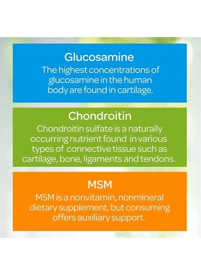 Puritan's Pride - Triple Strength Glucosamine, Chondroitin & Msm Joint Soother, 360 Count (Pack of 2) - Image 1