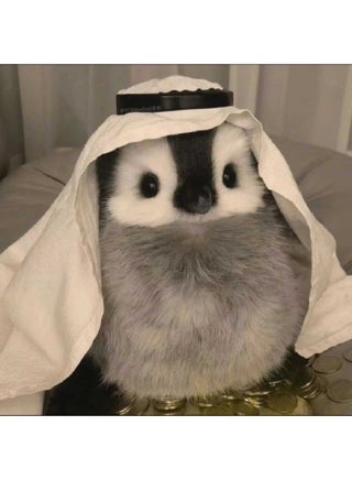 Cute Simulation Penguin Doll Plush Toy Couple Penguin Wedding Throw Doll Cloth Wah Birthday Gift-Colour:The Main Picture Doll (without Headscarf) Will Be Available For Pre-sale After The Year - pzsku/Z150CFC5FF9C6020C833CZ/45/1743496447/d3517d6a-eab6-42be-aec2-611373cfce3c