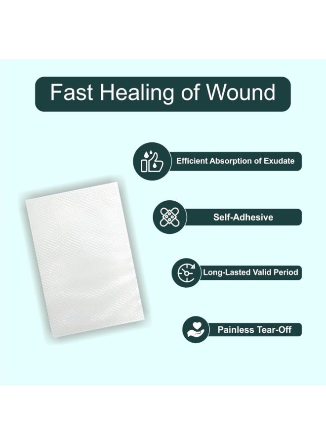 Silva Tiger Cool Relief Patch Box 2 Pcs Size 14x10 - Image 2