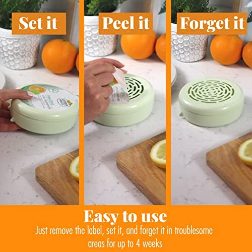 Citrus Magic 2-Pack Solid Air Freshener, 8-Ounce, Citrus - Image 5
