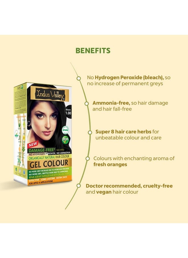 Indus Valley Damage Free Natural Gel Hair Colour For Women | Ammonia & Ppd Free Organic Hair Colour With 100% Grey Coverage, Long Lasting Conditioning Hair Color | Black 1.00-220 Ml  - Image 2
