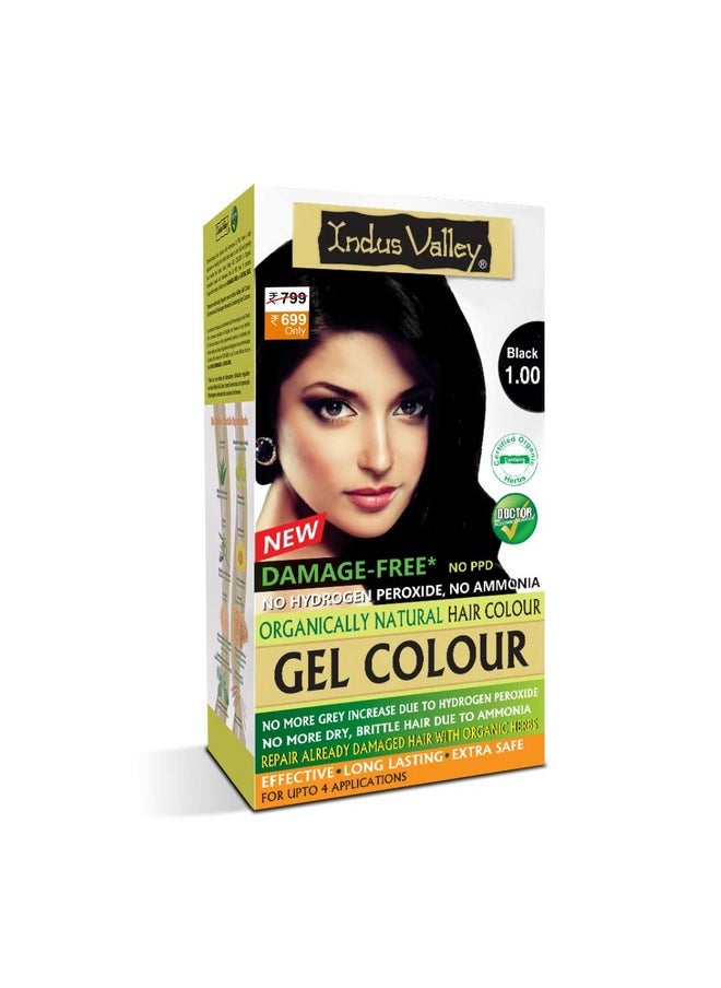Indus Valley Damage Free Natural Gel Hair Colour For Women | Ammonia & Ppd Free Organic Hair Colour With 100% Grey Coverage, Long Lasting Conditioning Hair Color | Black 1.00-220 Ml  - Image 1