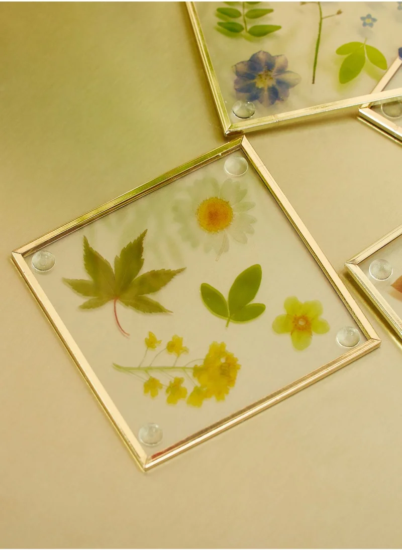 Sass & Belle Pressed Flowers Coasters