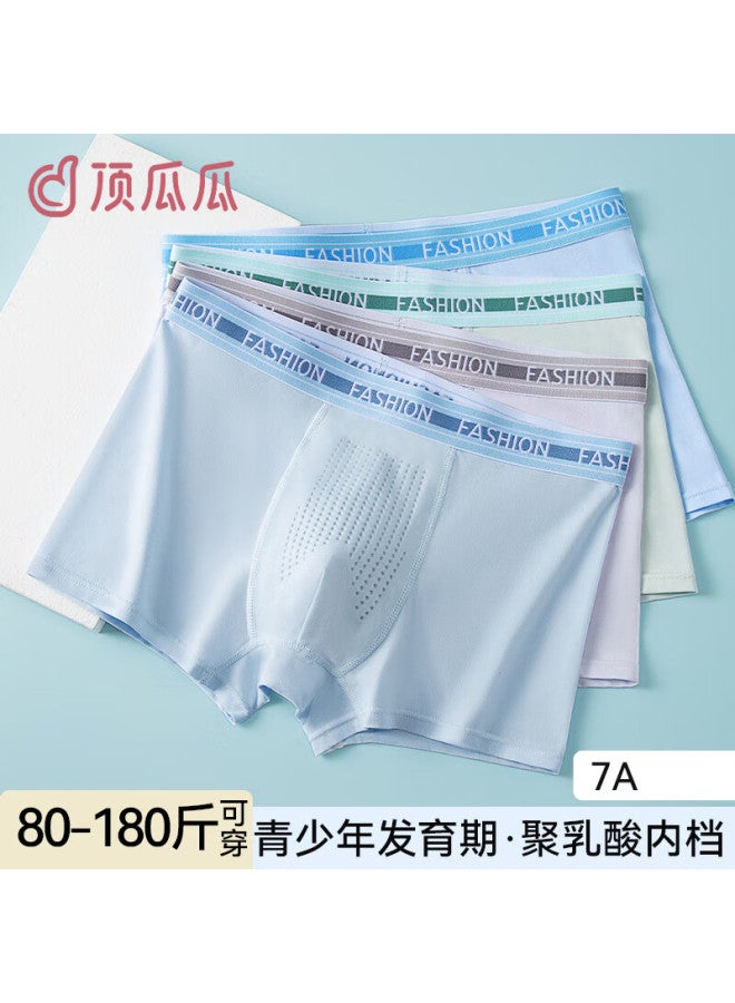 Dingguagua Youth Boys' Cotton Underwear Shorts For Ages 12-16, Adolescents, Middle School Students