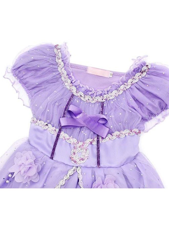Princess Sofia Cosplay Fancy Puff Sleeves And Stretchable Party Dress Costume Set