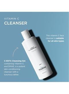 Jan Marini Jan Marini Skin Research C-ESTA Cleansing Gel - Daily Facial Cleanser with Vitamin C - Skincare Face Wash for Oily, Dry & Combo Skin - Gel Face Cleanser - 8 fl oz  - Image 2