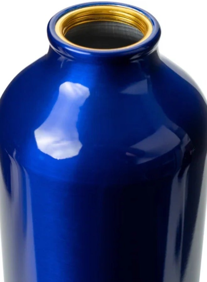 Vitacelli Vacuum Insulated Water Bottle 500ML Stainless Steel Reusable Water Bottle Metal Leak Proof Sports Flask Blue - Image 3