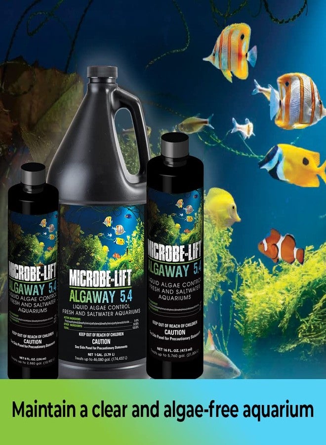 Microbe Lift MICROBE-LIFT Algaway 5.4 Algae Remover for Aquariums, Algaecide for Freshwater and Saltwater Tanks, Aquarium Algae Control and Fish Tank Cleaner, Safe for Fish and Plants, 8 Ounces (ALGAA08) - Image 2