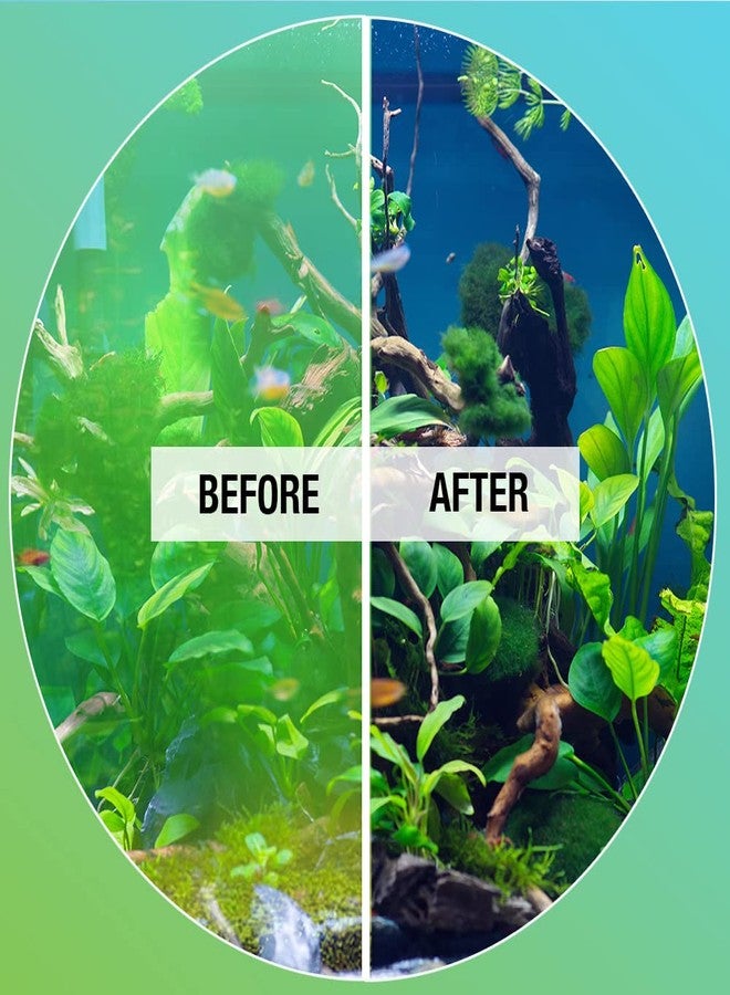 Microbe Lift MICROBE-LIFT Algaway 5.4 Algae Remover for Aquariums, Algaecide for Freshwater and Saltwater Tanks, Aquarium Algae Control and Fish Tank Cleaner, Safe for Fish and Plants, 8 Ounces (ALGAA08) - Image 4