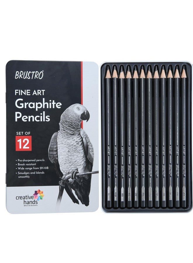 BRUSTRO Artists Fineart Graphite Pencil Set of 12 (10B-2H) with Artists Sketchbook, A6, Wiro Bound, 116 Pages 160 GSM |Ideal for Drawing,Sketching,Mandala,Shading,Artwork, Artists, Professionals. - Image 2