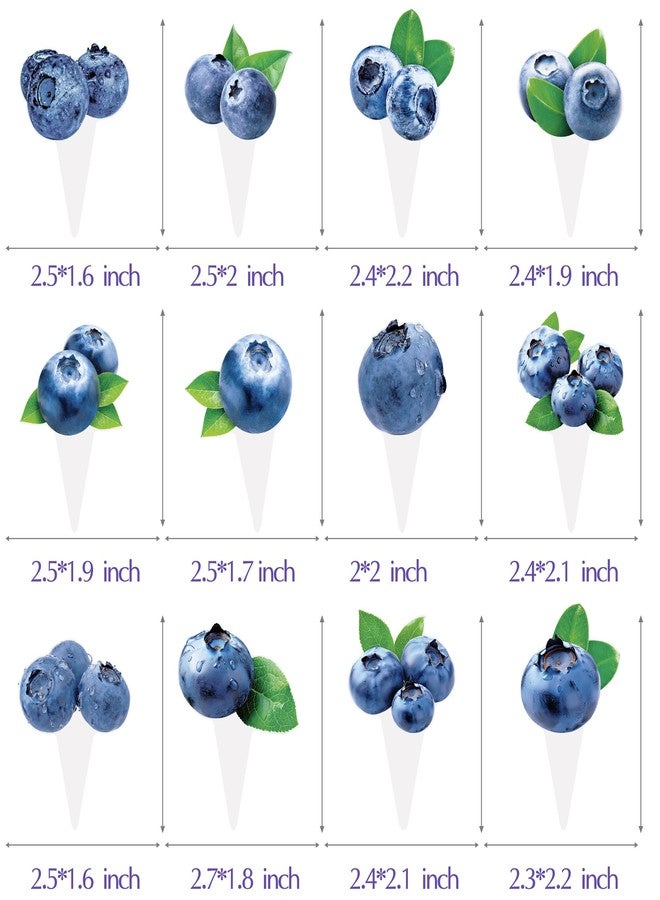umoni Blueberry Party Cupcake Toppers 48Pcs Berry Sweet Baby Shower Birthday Decorations Blueberry Cupcake Picks Blueberries Cake Decor for Boys Girls Blueberry Theme Party Supplies - Image 3