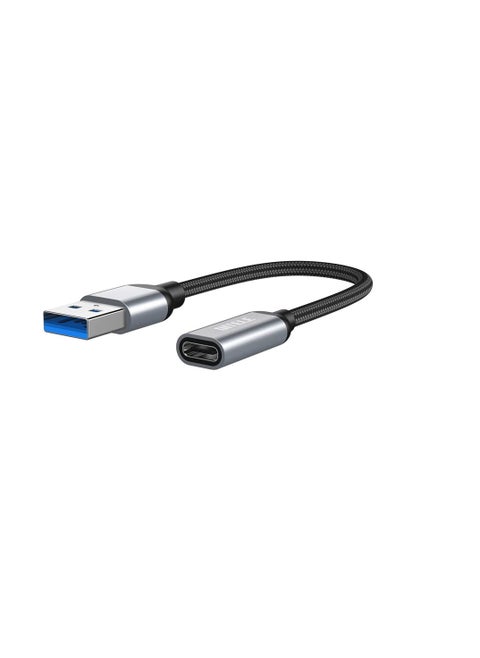 USB C Female to USB Male Adapter, 5inch USB A to Type C Connector, Compatible with iPhone 12 Mini/12 Pro Max/11 Pro Max, Type-C Earphone/Flash Drive/Hub
