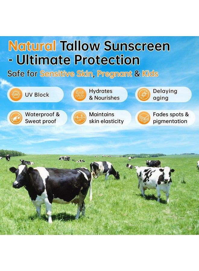 CHANGARLOAD Beef Tallow Sunscreen SPF 50 - 100% Organic Grass-Fed Beef Tallow Face Sunscreen with Hyaluronic Acid, Centella & Avocado - Natural Sunscreen No Chemicals - Ideal for Women, Sensitive & Baby Skin 60g - Image 2