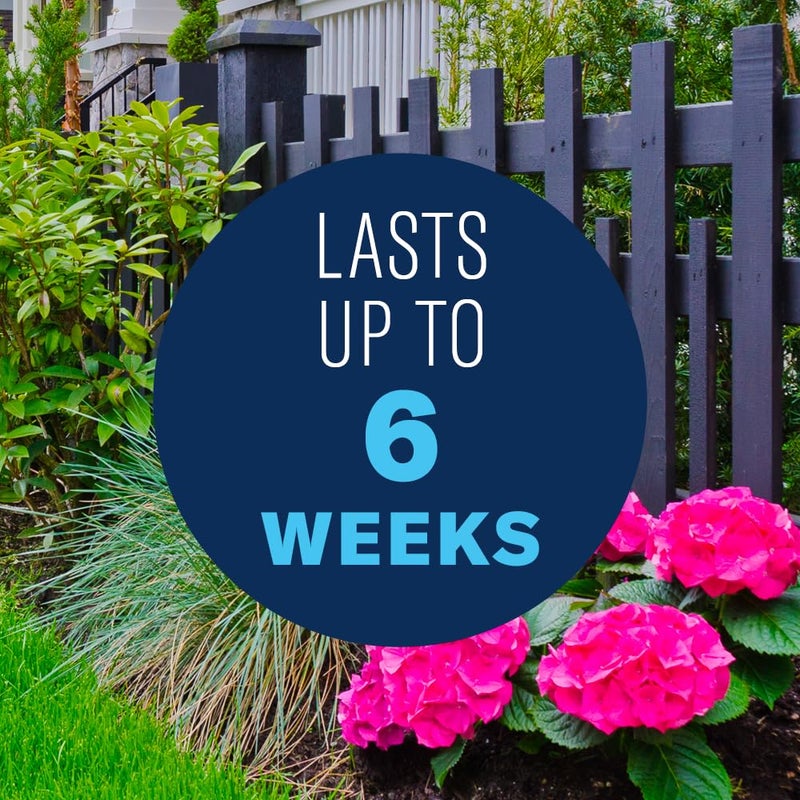 BioAdvanced All-In-One Rose and Flower Care Fertilizer, Concentrate, 64 oz - Image 5