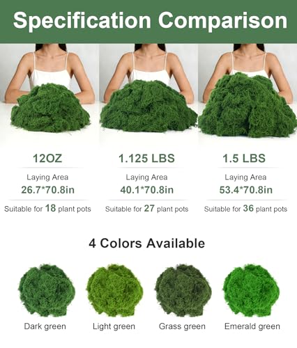 MGLIFEUL 12OZ Artificial Fake Moss for Crafts Plants Indoor with Non-Stick Gloves and Tweezers，Preserved Green Plant Faux Craft Moss Musgo for Fairy Garden Indoor Outdoor Home Decorating Model Making - Image 2