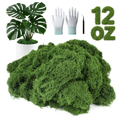 MGLIFEUL 12OZ Artificial Fake Moss for Crafts Plants Indoor with Non-Stick Gloves and Tweezers，Preserved Green Plant Faux Craft Moss Musgo for Fairy Garden Indoor Outdoor Home Decorating Model Making - Image 1
