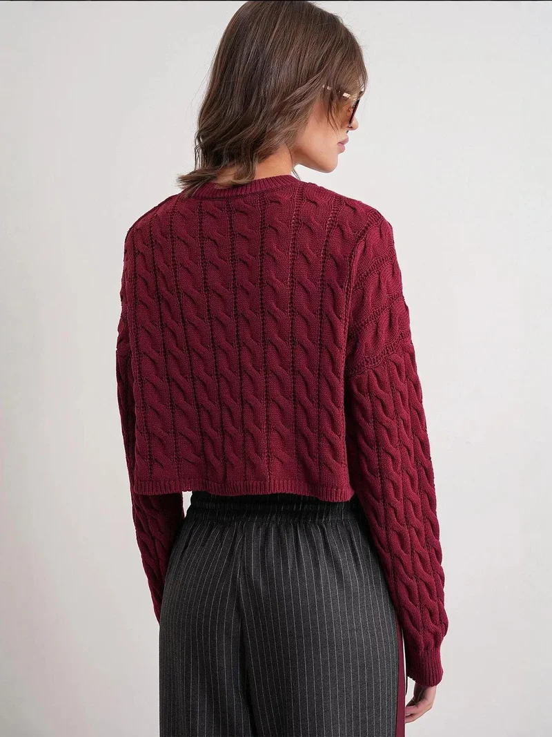 MixRay Burgundy Red Mixray Cable Knit Pattern Crew Neck Sweater for Women | Best Price UAE