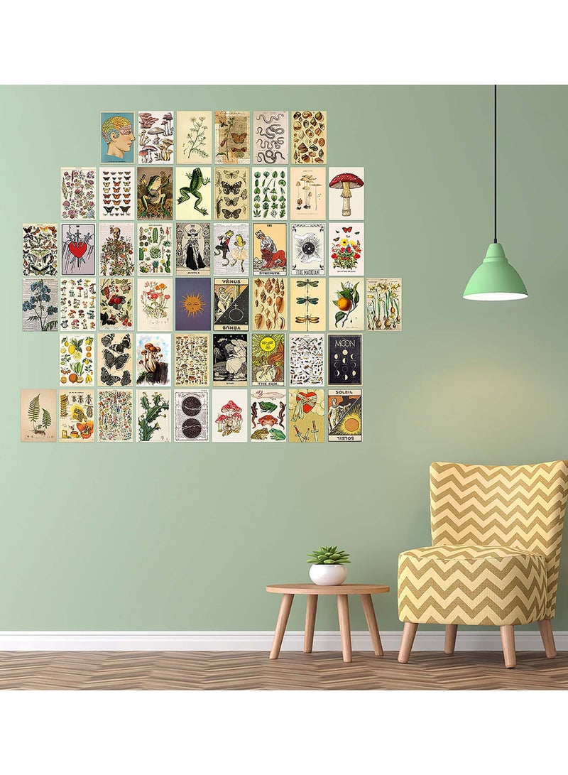 Barakah Vintage Wall Collage Kit, Botanical Wall Collage Cards, Trendy Small Poster, Aesthetic Pictures, for Dorm, Bedroom Decor for Teens Boys Girls - Image 3