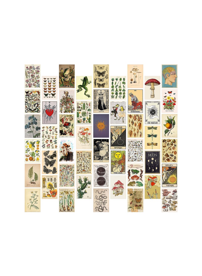 Barakah Vintage Wall Collage Kit, Botanical Wall Collage Cards, Trendy Small Poster, Aesthetic Pictures, for Dorm, Bedroom Decor for Teens Boys Girls - Image 1