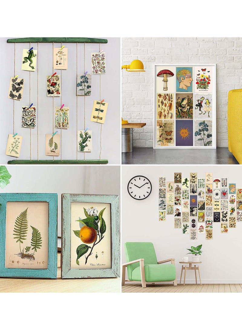 Barakah Vintage Wall Collage Kit, Botanical Wall Collage Cards, Trendy Small Poster, Aesthetic Pictures, for Dorm, Bedroom Decor for Teens Boys Girls - Image 4