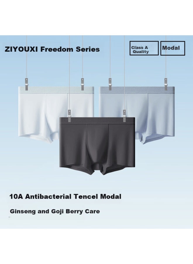 Ziyouxi Modal Men's Underwear 10a Antibacterial Breathable Ginseng Goji Scented Boxer Briefs For Men