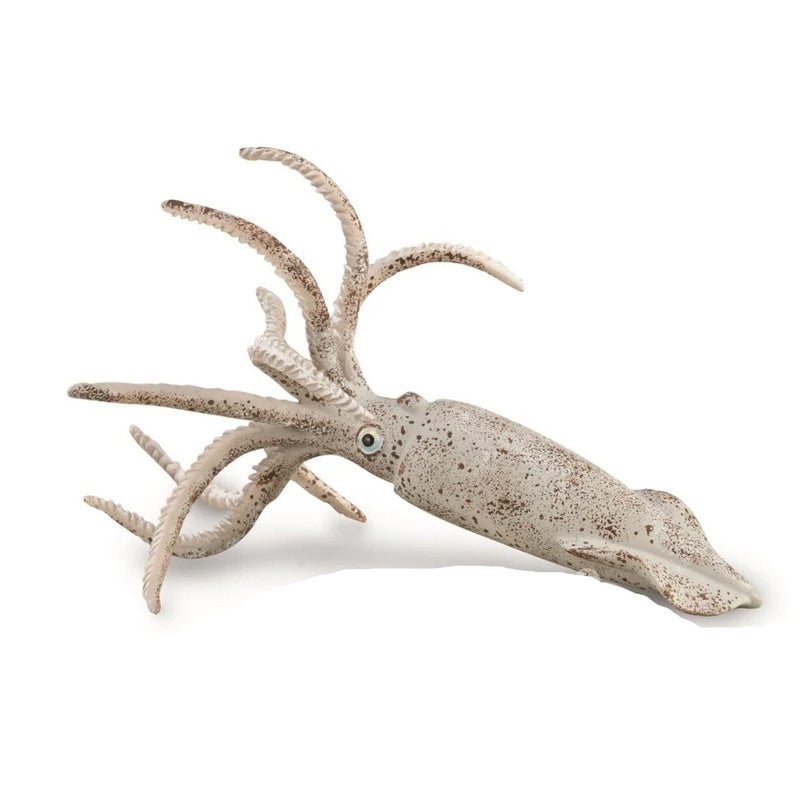 Collecta - Belemnite Cuttlefish - 88904