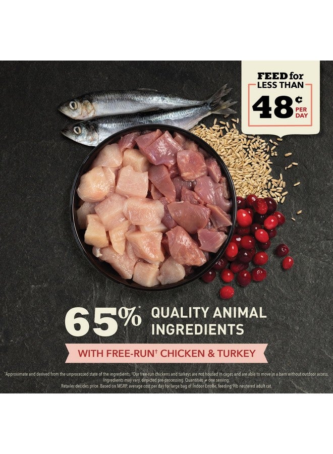 ACANA Indoor Entree Dry Cat Food, Free Run Chicken and Turkey Recipe, 4 lb - Image 2