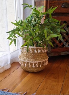 Medium Macrame Wicker Storage Basket - pzsku/Z15226CA25698C0219DBEZ/45/_/1735625408/d2b8885a-735d-441d-a4c4-82b89aef9558