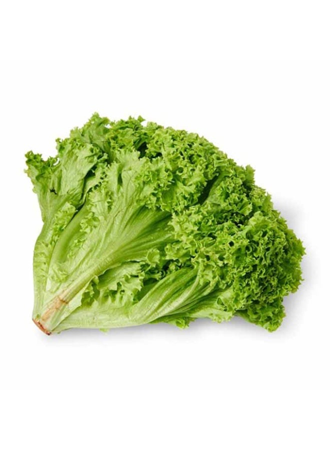 Lollo Bionda Green, 150g to 200g per piece, UAE
