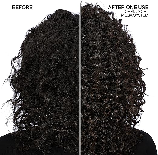 REDKEN LeaveIn Cream Infused with Aloe Vera For Severely Dry Coarse Hair Hydrates Softens Improves Manageability All Soft Mega Hydramelt - Image 4