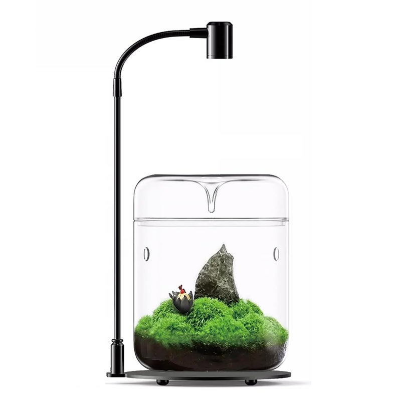 Glass Plant Terrarium 47X7 Inches Succulent Air Planter Fern Moss MicroLandscape Vase for Home Office Tabletop Decoration Container with Lid Indoor Wardian Copyright Patentwith Light