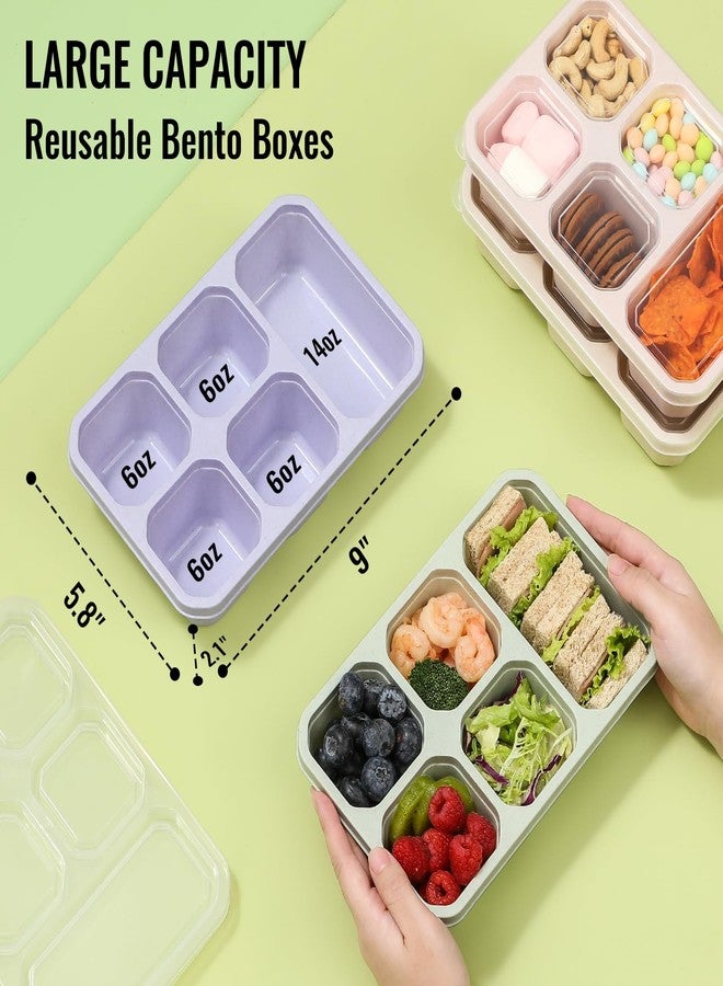 Snuvid 4-Pack Bento Box Adult with Lunch Bag, 5 - Compartment Snack Containers, Reusable Snackle Box with Lids, Meal Prep Containers for Work, Travel and Camping - Image 2