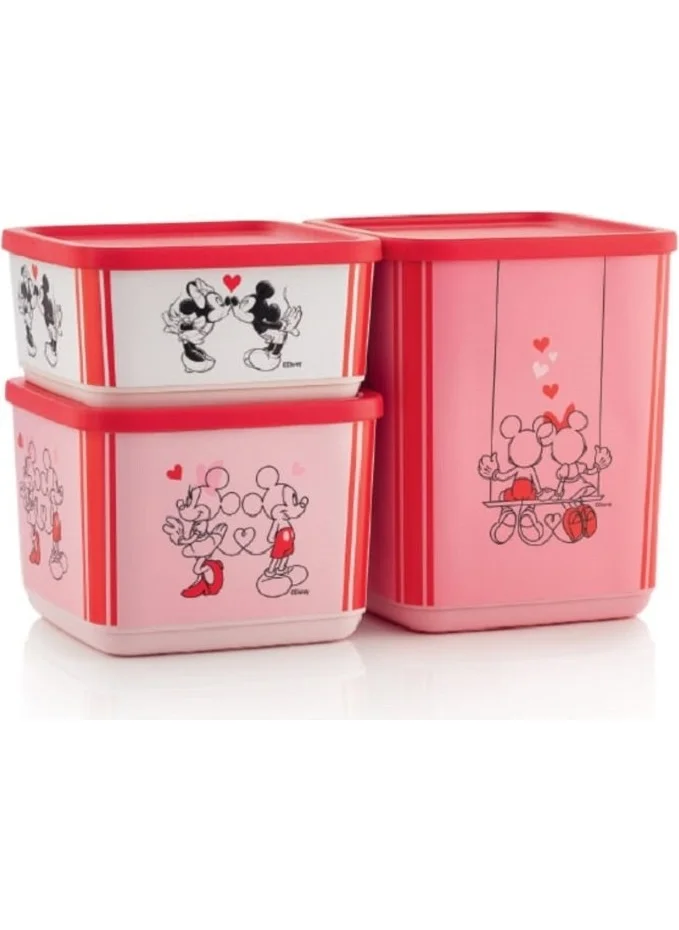 تابروير Cubic Set 3 Minnie Mickey Set Storage Box Hsgl