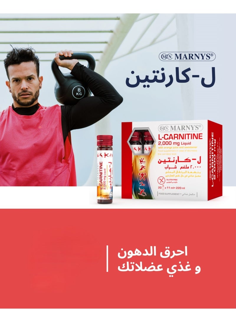Marnys L-Carnitin 2000 mg 20 Drinkable Vials - Image 4
