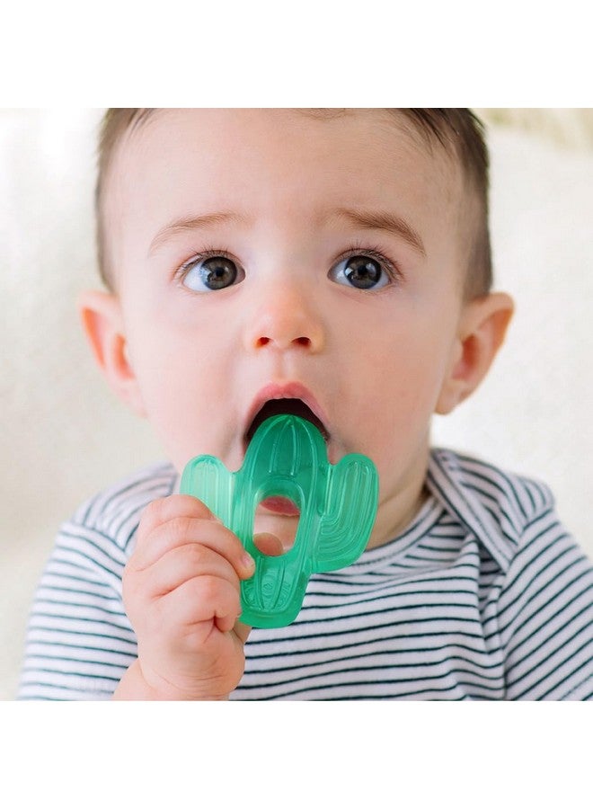 Itzy Ritzy Water-Filled Teethers - Cold Cutie Coolers Textured On Both Sides to Massage Sore Gums & Emerging Teeth - Can Be Chilled in Refrigerator, Set of 2 Green Cactus Water Teethers - Image 5