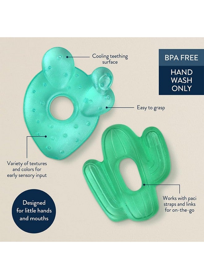 Itzy Ritzy Water-Filled Teethers - Cold Cutie Coolers Textured On Both Sides to Massage Sore Gums & Emerging Teeth - Can Be Chilled in Refrigerator, Set of 2 Green Cactus Water Teethers - Image 3