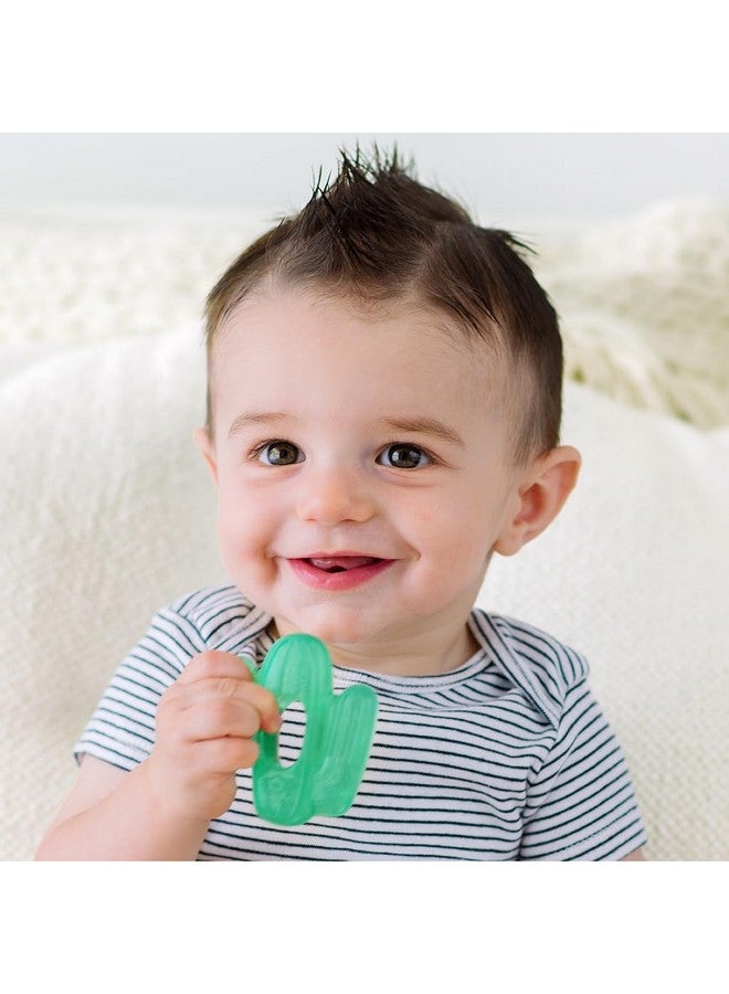 Itzy Ritzy Water-Filled Teethers - Cold Cutie Coolers Textured On Both Sides to Massage Sore Gums & Emerging Teeth - Can Be Chilled in Refrigerator, Set of 2 Green Cactus Water Teethers - Image 2