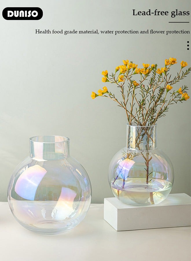 DUNISO Creative Clear Glass Vase Craft Aesthetic Decorative Small Flower Vase Hydroponic Plant Desktop Ornament Modern Irregularity Vase for Flowers Rose Home and Office  - Image 5