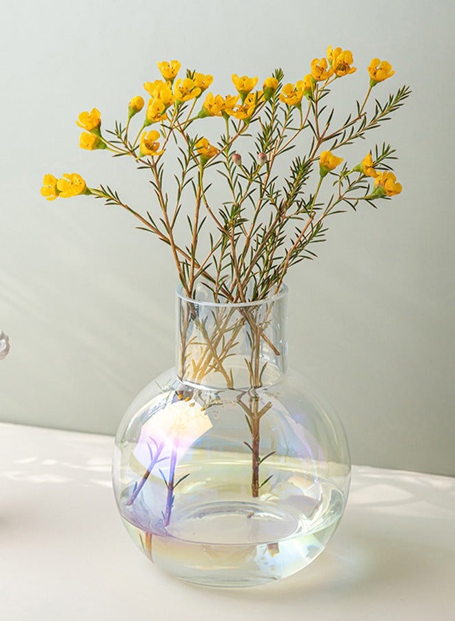 DUNISO Creative Clear Glass Vase Craft Aesthetic Decorative Small Flower Vase Hydroponic Plant Desktop Ornament Modern Irregularity Vase for Flowers Rose Home and Office  - Image 1