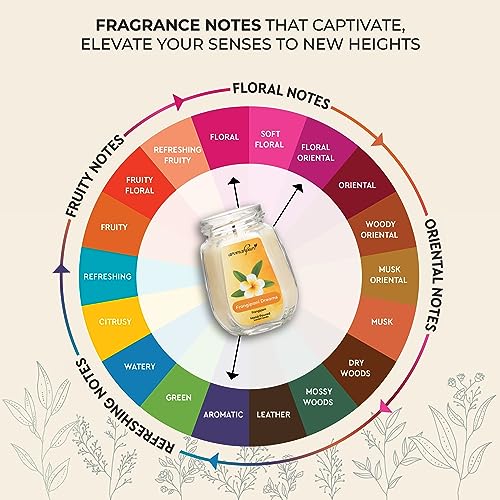 Aromahpure Scented Candle (42 hrs) (100% Soy Wax)- Handcrafted | Smoke-Free | Frangipani Dreams- Frangipani Fragrance Candles for Home & Gift Sets, IFRA Certified - Image 3