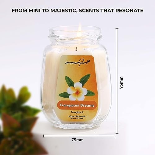 Aromahpure Scented Candle (42 hrs) (100% Soy Wax)- Handcrafted | Smoke-Free | Frangipani Dreams- Frangipani Fragrance Candles for Home & Gift Sets, IFRA Certified - Image 2
